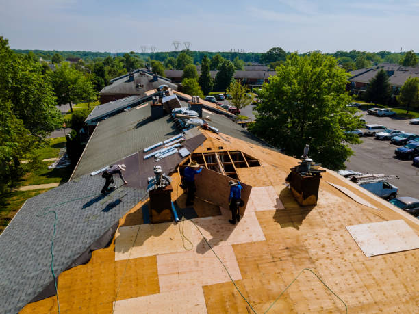 24/7 Emergency Roof Replacement experts in Ludowici, GA